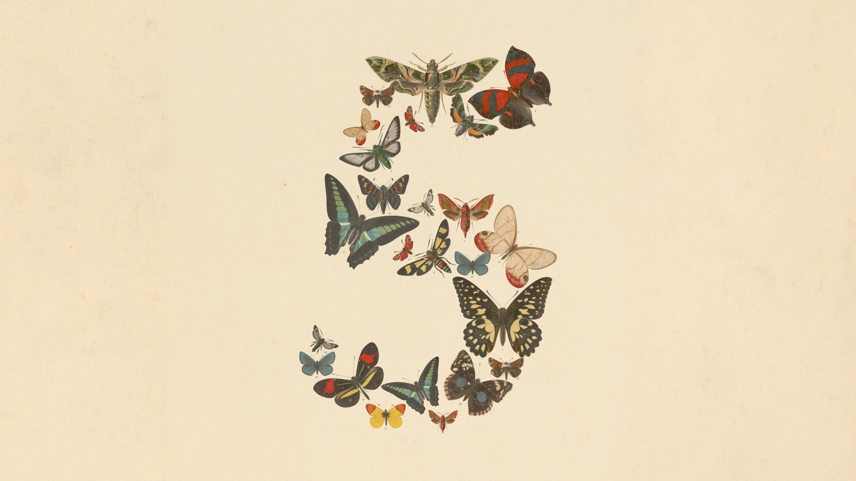 Claude Fable 5 与 Claude Mythos 5